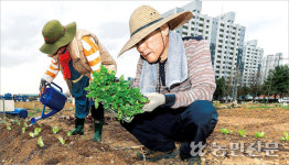 도심 속 농장 가꾸기 구슬땀