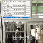 염소산업 성장 기대감…사육열기도 ‘후끈’