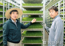 벼·고추 등 우량 모종 공급…영농 뒷받침 ‘든든’