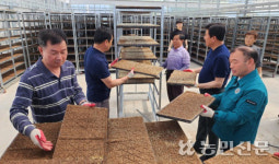 “탁구동호회까지 나섰다”…금산 부리농협, 지역 농가 위해 벼 육묘 지원 ‘총력’