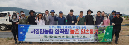 벼 육묘 8000장 나르며 구슬땀…서영암농협, 일손돕기