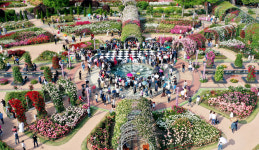 [5월 축제] ‘억만송이 장미’ 속 거닐며 색다른 설렘 누려볼까