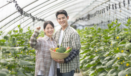농사같이(農四價値)…농민·농업·농촌·농협 혁신의 여정 함께한다