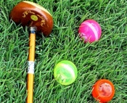 [제1회 농촌사랑 파크골프대회] 이모저모