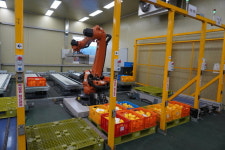 성주 월항농협 스마트APC 선두주자…수출 견인