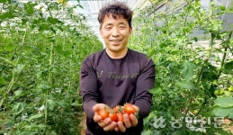 방울토마토 스마트 양액재배…품질·수확량 ‘쑥쑥’