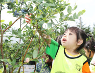 농촌체험거리 풍성…가성비 넘치는 도심속 휴양지