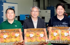 APC 스마트화로 출하능력·농가역량 키운다