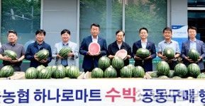 (주)수박이앤엠 | 수박 직거래 판매행사 열어