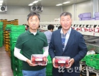 의성중부농협 APC 활기 ‘의성자두’ 씽씽