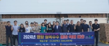 서영암농협, 찰옥수수 판매량 63% 증가... 농가소득 증대 ‘눈에 띄네’