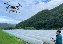 전북 진안농협, 드론과 무인헬기로 벼 병해충 공동방제 나서