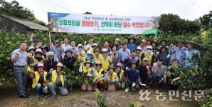 제주감귤농협, 노지감귤 열매솎기 교육