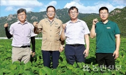 벼 대체작목으로 논콩 재배농가 육성 빛났다