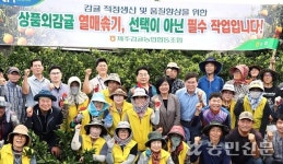 제주감귤농협, 열매솎기 발대식·영농교육 진행