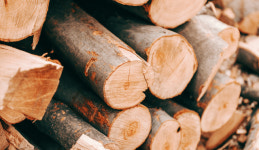 임업 외국인근로자 고용 신청받아