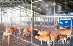 “무더위 식히자”…물 뿌리고 냉방팬 돌리고