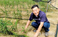 [제41회 영농·생활 수기 일반부문 당선작] 59세 농민가