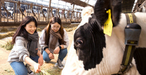 보령 가볼 만한 곳은? ‘모세의 기적’ 무창포 해변, 죽도의 전통 공원 상화원