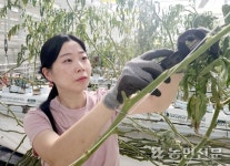 [제41회 영농·생활 수기 가작-청년부문] 내일을 여는 우리