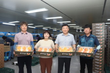 괴산 불정농협, 복숭아 명품화 박차