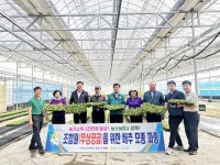 울산 농소농협, 조합원에 배추 모종 25만포기 무상 지원