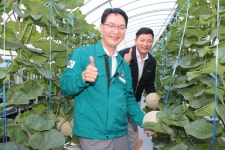 전북 고창 선운산농협, 명품 멜론 생산…시장에선 ‘따봉’