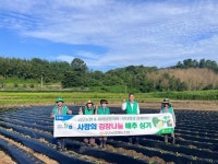 하동 금오농협, 양보면·진교면 새마을협의회부녀회와 함께 ‘사랑의 김장나눔 배추심기’ 행사