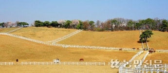 [고양의 가볼 만한 곳] 행주산성서 문화유산 탐방 신비한 마야·잉카문명 체험