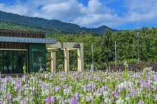올가을 자생식물로 물드는 ‘이곳’…힐링하며 ‘인생샷’도