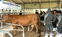 충북 보은옥천영동축협, 한우 인공수정 기술교육