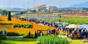 10월 지역별 축제는? 한탄강서 상쾌한 자유 만끽…꽃물결 천지 황룡강서 힐링