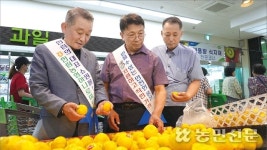[판매농협이 간다] 타임세일 ‘한수풀 장터’ 농축산물 판매 날개 달다