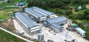 축산농장 자동화·무인화로 생산성·품질 향상…달걀 1+ 등급 100%