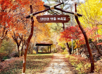 선녀 내려왔다는 계곡길로 단풍놀이 떠나볼까