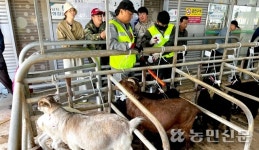 충북 진천축산농협, 염소 경매시장 개장…투명거래 약속