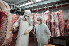 강원한우조합공동사업법인, 조공법인 종합경영평가 1등