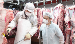 강원한우조공법인, 농식품부 종합경영평가 1위