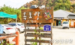 나무 자르고 깎고 다듬고…뚝딱뚝딱 나만의 의자 만들까