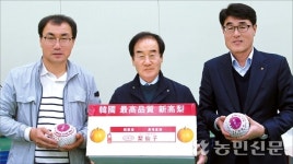 달고 아삭한 명품 ‘영덕배’ 해외시장 개척 탄력