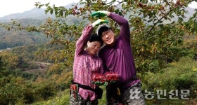 [NBS 하이라이트] 당뇨에 좋은 ‘꾸지뽕’ 재배하는 김두용씨