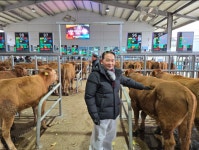 전북 익산군산축협, 스마트 가축경매 사업 완료