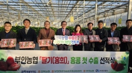 전북 부안농협 딸기 ‘홍희’, 홍콩 수출길 올라…전북 농산물 수출의 새 지평 열다