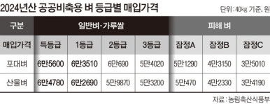 2024년산 공공비축용 벼 매입가 6만3510원