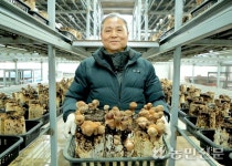 [NBS 하이라이트] ‘참송이버섯’으로 연매출 4억원 올리는 송인천씨