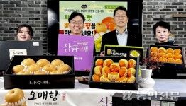 전남농협, 설 과일 선물세트 라이브커머스서 ‘완판’