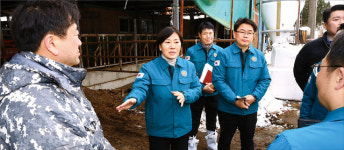 설 연휴 덮친 눈…축사시설 등 피해 잇따라