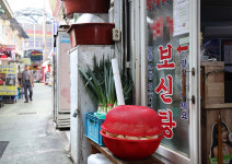 개식용종식법 시행 반년…개사육농장 10곳 중 4곳 폐업
