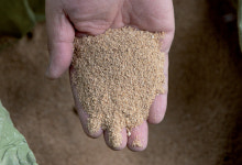 [축산 고수 따라잡기] 철규농장 구철규 대표 | 월간축산