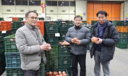 안동농협 농산물공판장 사과 유통 선진화 선도